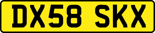 DX58SKX