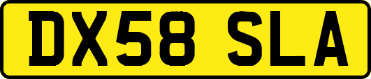 DX58SLA