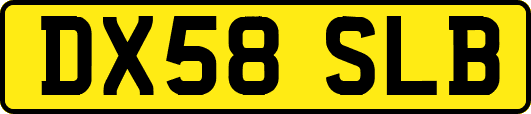 DX58SLB