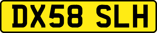DX58SLH