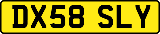 DX58SLY