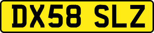 DX58SLZ