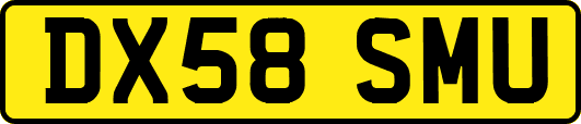 DX58SMU