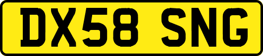 DX58SNG