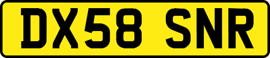 DX58SNR