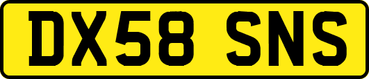 DX58SNS