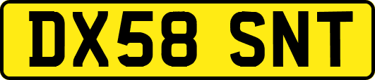 DX58SNT