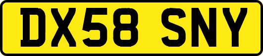DX58SNY