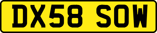 DX58SOW