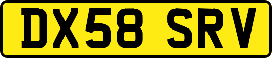 DX58SRV