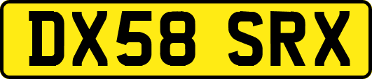 DX58SRX