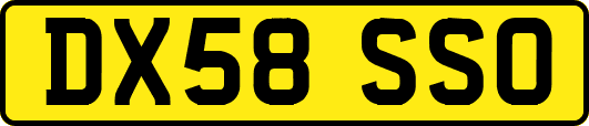DX58SSO