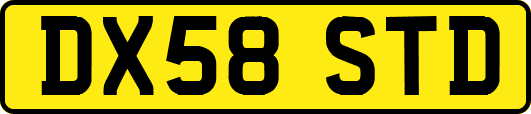 DX58STD