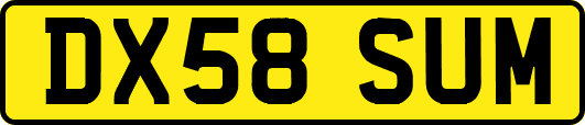 DX58SUM