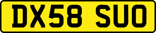 DX58SUO
