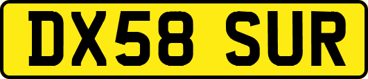 DX58SUR