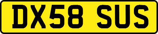 DX58SUS