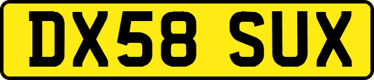 DX58SUX