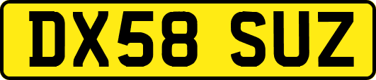 DX58SUZ