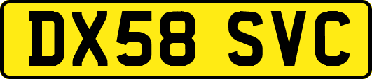 DX58SVC