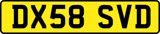 DX58SVD