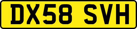 DX58SVH