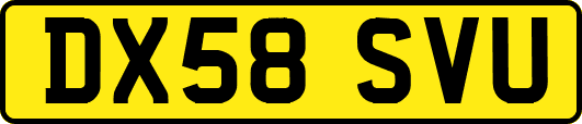 DX58SVU