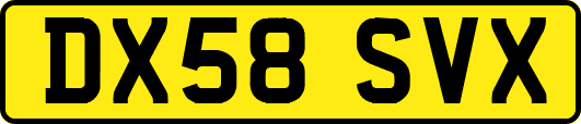 DX58SVX