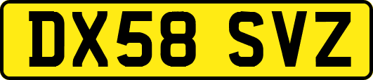 DX58SVZ