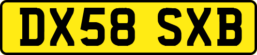 DX58SXB