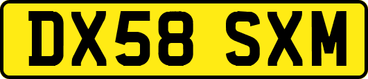 DX58SXM