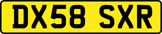 DX58SXR