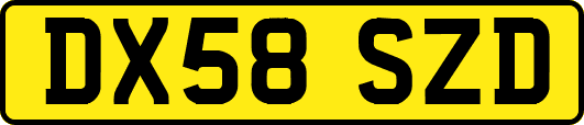 DX58SZD