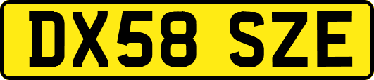 DX58SZE