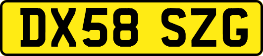 DX58SZG