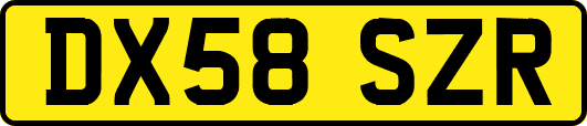 DX58SZR