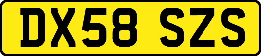 DX58SZS