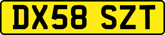 DX58SZT
