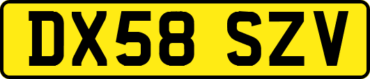 DX58SZV