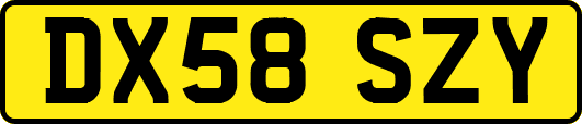DX58SZY