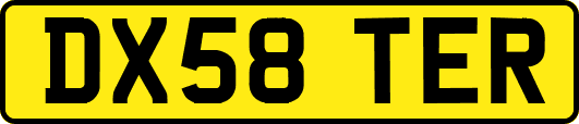 DX58TER
