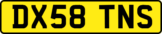 DX58TNS