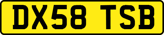 DX58TSB