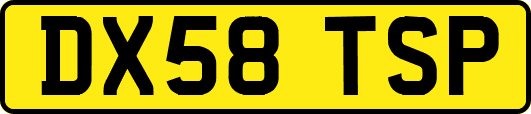 DX58TSP