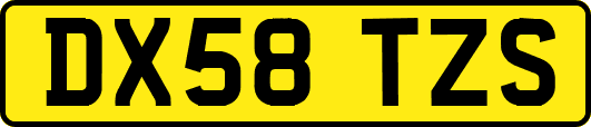 DX58TZS