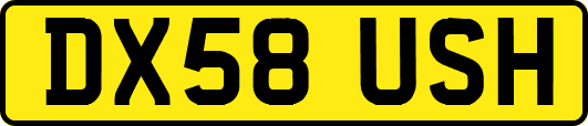 DX58USH