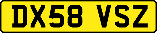 DX58VSZ