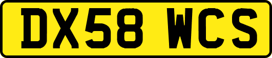 DX58WCS