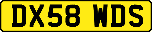 DX58WDS