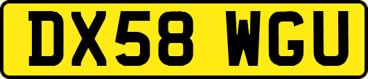 DX58WGU